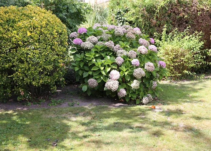 Haus Stoll Neustadt an der Weinstraße